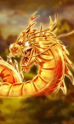 Angry Dragons