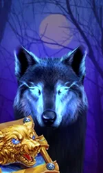 Book Of The Night Wolf
