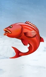Ice Fishing