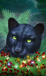 Blue Panther -CE